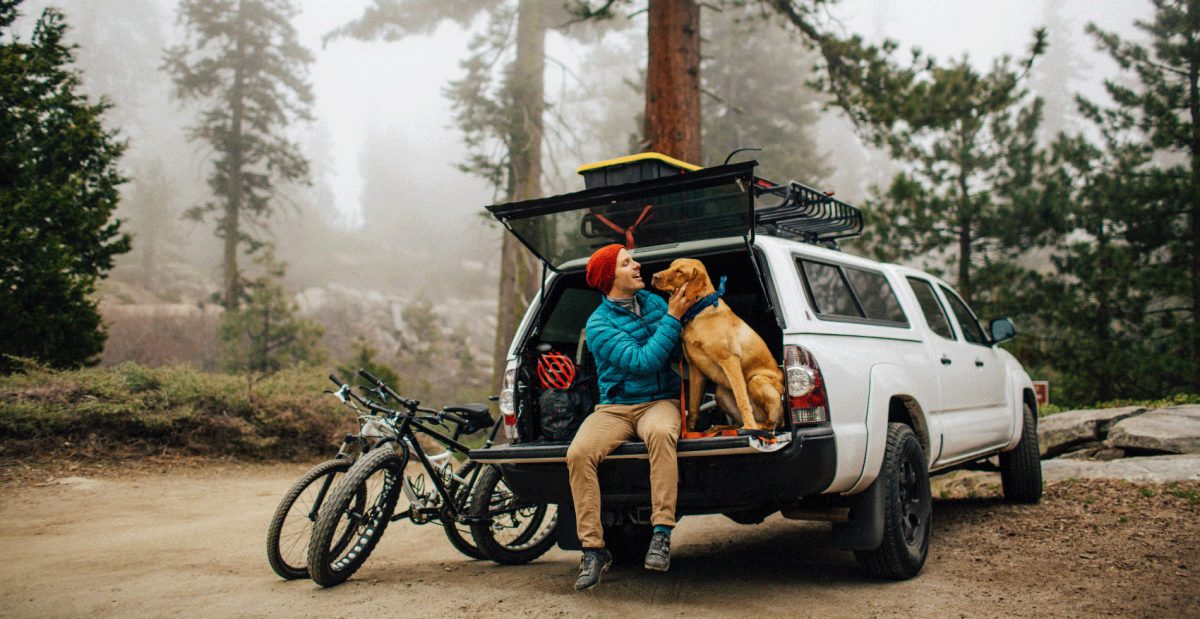 Travellers will put their pets at the forefront when planning a getaway in 2020. Image: Getty