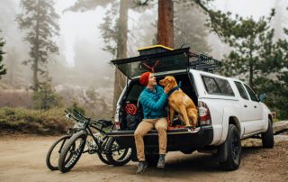 Travellers will put their pets at the forefront when planning a getaway in 2020. Image: Getty
